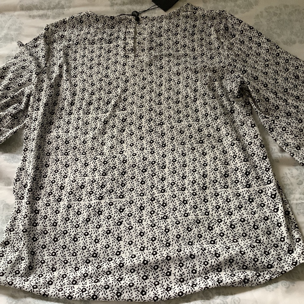Bluose - Picture 4 of 5